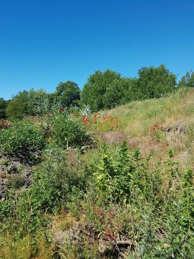 Urlaub Bei Hauenstein Apartment Борн Екстериор снимка