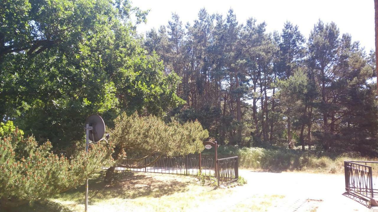 Urlaub Bei Hauenstein Apartment Борн Екстериор снимка