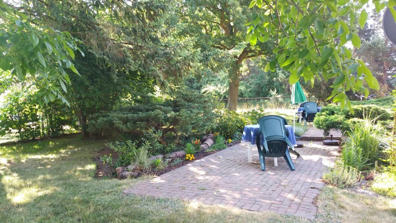 Urlaub Bei Hauenstein Apartment Борн Екстериор снимка