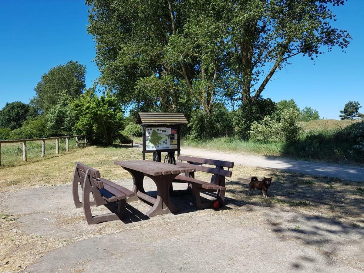 Urlaub Bei Hauenstein Apartment Борн Екстериор снимка