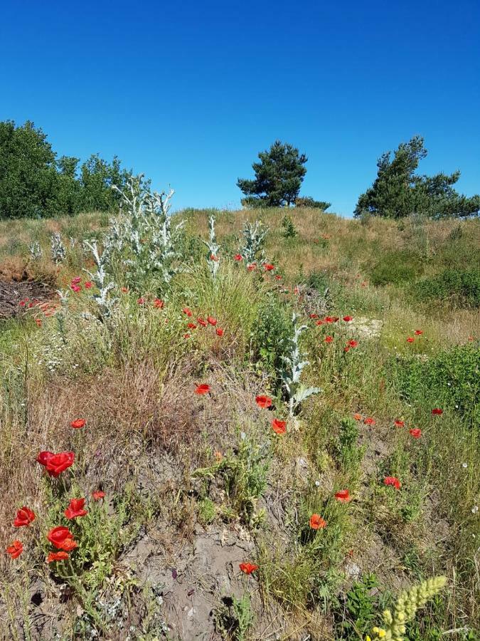Urlaub Bei Hauenstein Apartment Борн Екстериор снимка