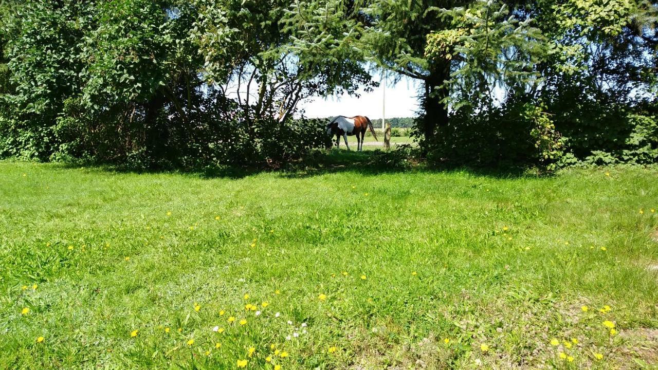 Urlaub Bei Hauenstein Apartment Борн Екстериор снимка