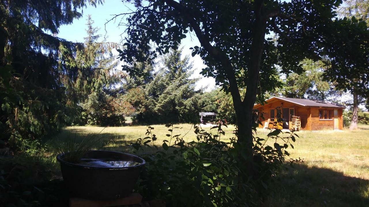 Urlaub Bei Hauenstein Apartment Борн Екстериор снимка